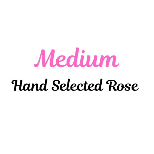 Medium Hand Selected Rose