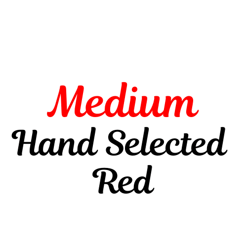 Medium Hand Selected Red